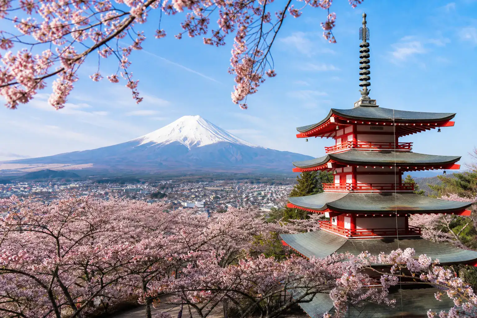 Japonya Vizesi